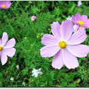 수월산방 이미지