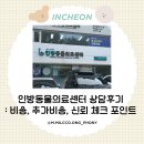 포인트동물의료센터 | 인방동물의료센터 상담 후기 : 비용·추가비용·신뢰 체크 포인트