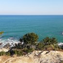 까페 하비비 이미지