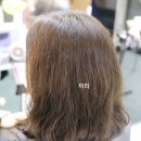 야탑 미용실, 허지스헤어 야탑 1호점, 세진 디자이너 크리닉 리얼후기