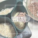이유식 저울 추천 헤르빅 전자저울 후기