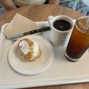 LIKE FRISE | [8월 일상] 영어회화 스몰톡 사진 및 영어표현 (선인장 Cactus, 계속 하다 Keep ~ up, 오랜만에 for the...