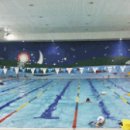 서대문구 서대문체육회관 대체육관 이미지