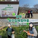향기휴게점 | 양평외갓집체험마을 | 경기도 촌캉스 숙소 힐링 1박 2일 후기 예약링크 내돈내산