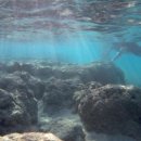 (HL-사건/사고/법률) Hawaii Passes Bill to Ban Sun Care Products That Harm Coral 이미지