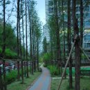 우림부동산공인중개사사무소 이미지