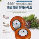 (주)파인적송