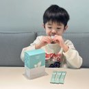 삼백초 | 어린이 삼백초 효능 이지아이 삼백초 후기