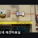 릴리네 애견미용실 | {인천, 애견미용실, 추천!) 릴리네 애견미용실 릴리네 애견미용실, 편안한 미용