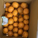 대규농장 이미지