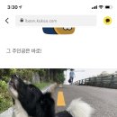 니나펫카페 이미지