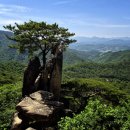 해오름산악회 제204차 작성산,동산 산행안내 이미지