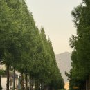 오티씨