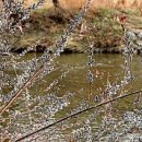 다시,봄 이미지