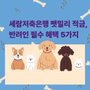 세람 - 북구 염포로 260-13 | 세람
