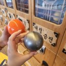 주가네옹심이 | 20000보 걸은 속초 뚜벅이 여행 2일차