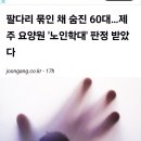 학대 요양원 (제주시임 이미지