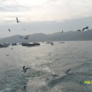 외연도마을회관 이미지