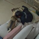 11650-17-34-6 | 임신후기(34W+0)일상, 건강한 산모와 아기가 유도분만을 준비한다면? 가능성은?