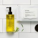 프리메라1 이미지