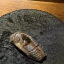 스시리 | [강남/신사] 신사역 가로수길 스시 오마카세 맛집 내돈내산 스시리카이 디너 솔직후기