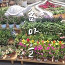 포항 숲마을카페 실내 식물원 겸 꽃집 화분 파는 가볼만한 곳 추천