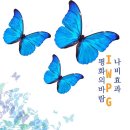나비효과