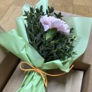 (주)바른손 | 청첩장-[바른손카드]샘플 후기!