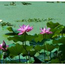 거창하수종말처리장 이미지