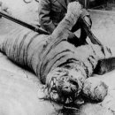 (주)즐거운세상 이미지