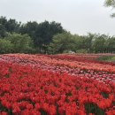 문암생태공원(매점) 이미지