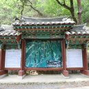 경북 영천시 청통면 치일리 "은해사(銀海寺)" - 2023.06.18 이미지