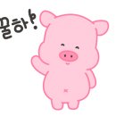코호케이크바 이미지