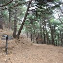 소나무주유소 이미지