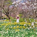 소풍매점 - 충주시 첨단산업1로 74 | 소풍매점