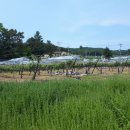 전원락농장 이미지