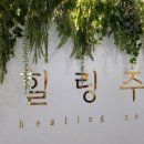 (주)힐링파마 이미지