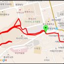 11월15일 사직외곽주..6lap 이미지