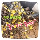 최수학 | 봄이 오나 봅니다 - 대구 옻골마을