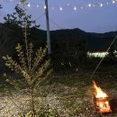 두밀숲캠핑장 이미지