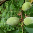 와동농장 이미지