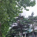 영서동행정복지센터 이미지