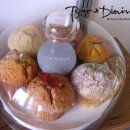 CAFE.D Daum카페