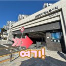 도도그 | [파주] 24시 무인 반려견 용품 할인점 🐾 도그마캣 해오름마을점 방문 후기