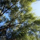 마법의성 이미지