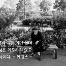 태양의 미소 이미지