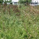 상예2마을회관 이미지