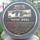 느릅재농장 Daum카페