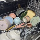 (주)탑전자 | 삼성전자 비스포크 카운터탑 식기세척기 6인용 후기 (솔직후기)