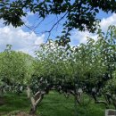 병준농장 이미지